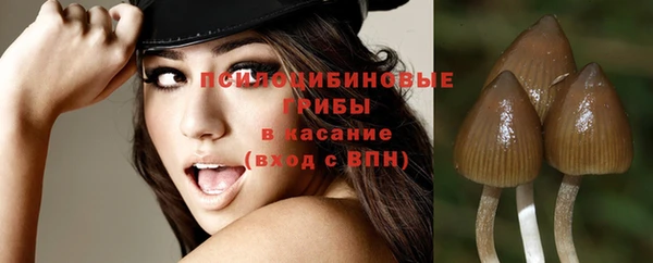 индика Аркадак