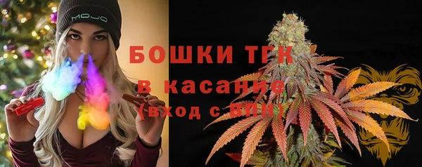 крисы Арсеньев