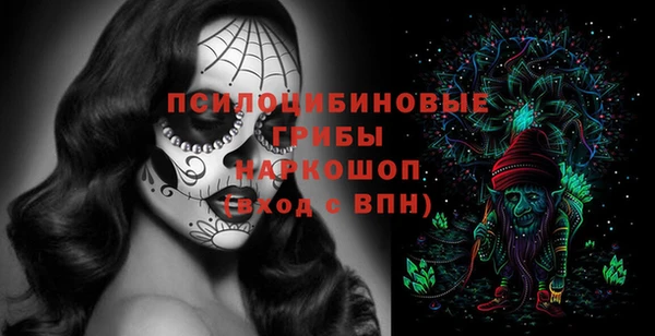крисы Арсеньев
