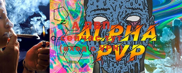 индика Аркадак