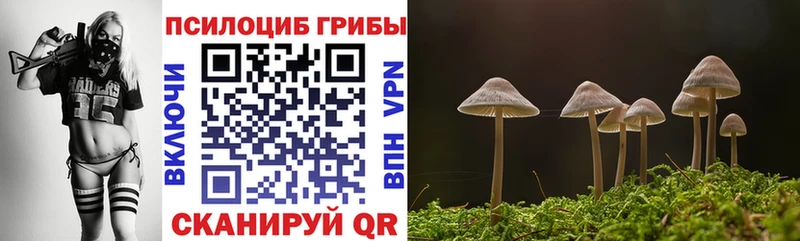 Галлюциногенные грибы мухоморы Саров
